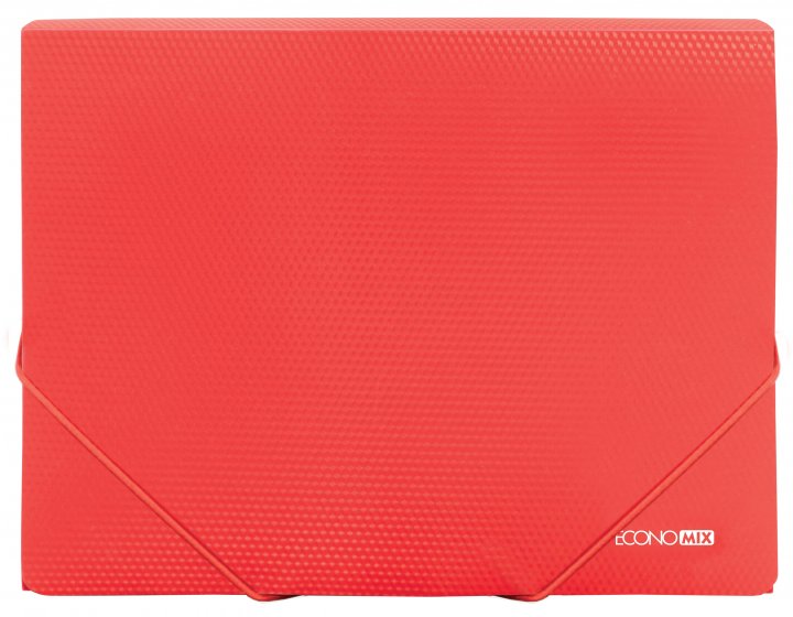 Папка на гумках ECONOMIX (E31601-03)